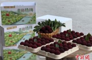 便是缘尽高速赋能产业升级：一条“杨梅路”的致富密码